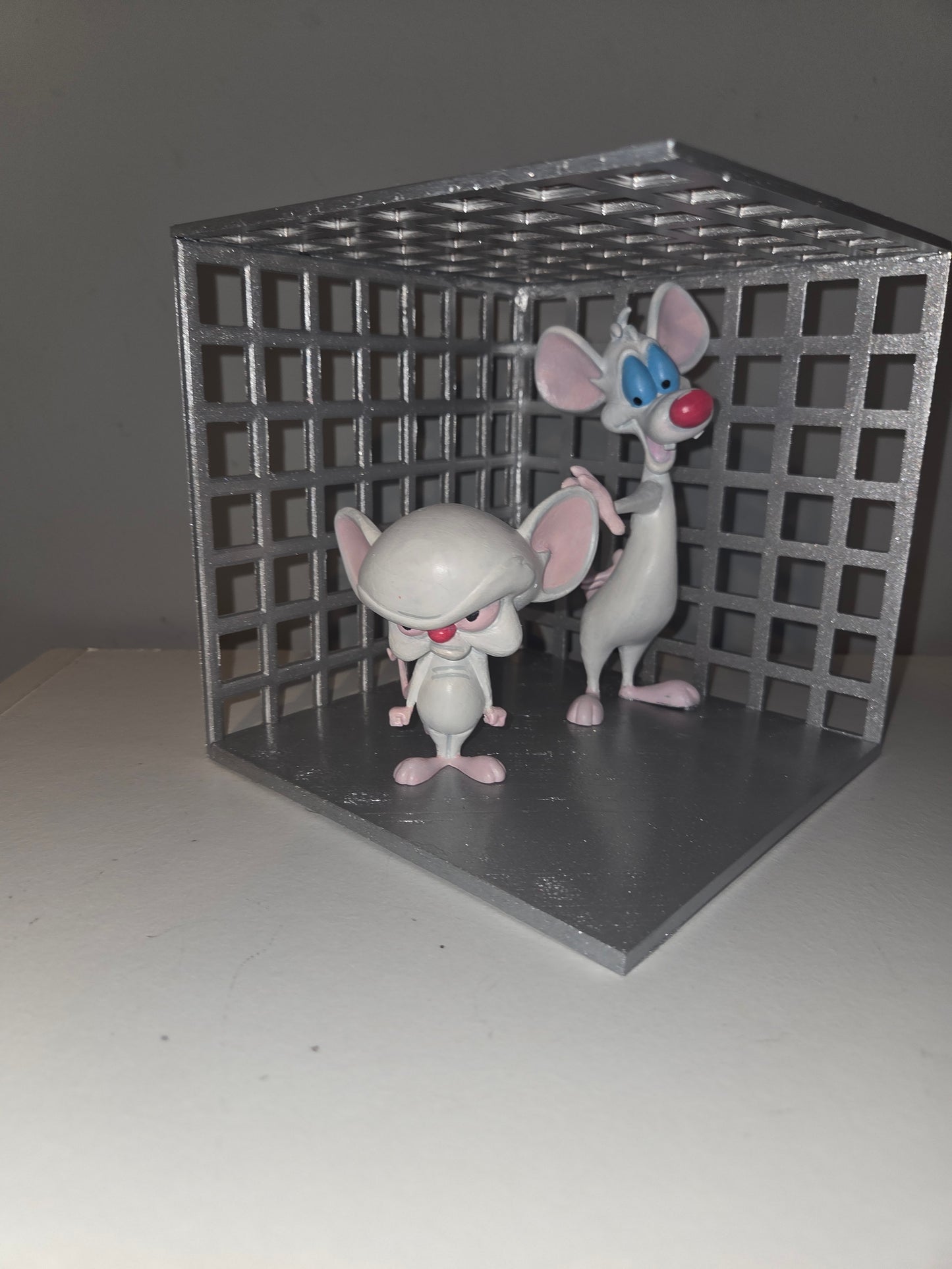 Pinky and the Brain