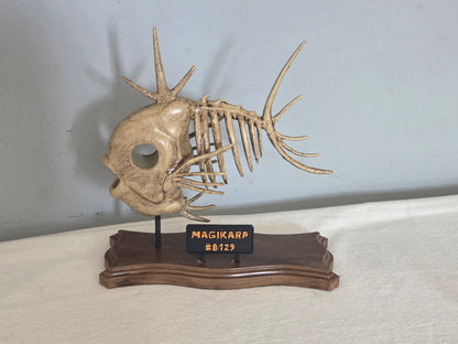 Magikarp Fossil Exhibit