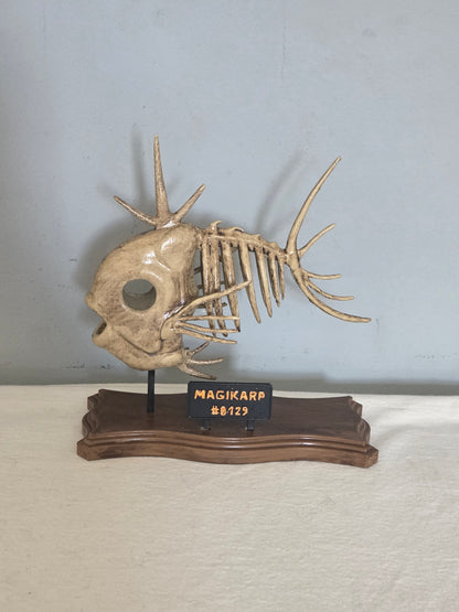 Magikarp Fossil Exhibit
